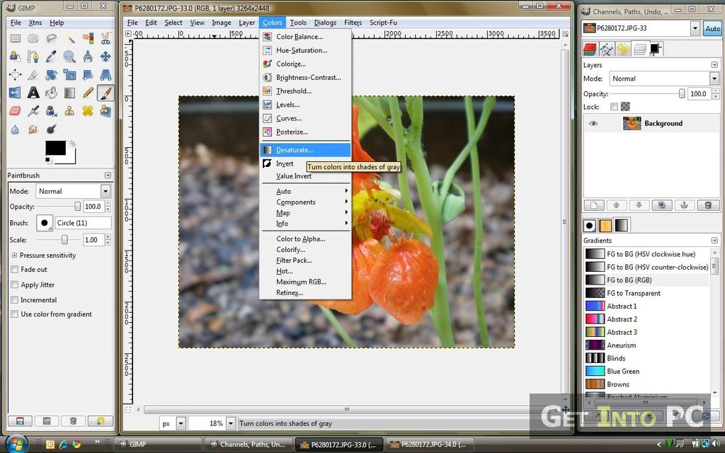 Gnu Image Manipulation Program Download Mac